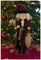 Traditional Wooden Nutcracker 14 Inch White Vintage Santa Festive Christmas Décor for Shelves and Tables